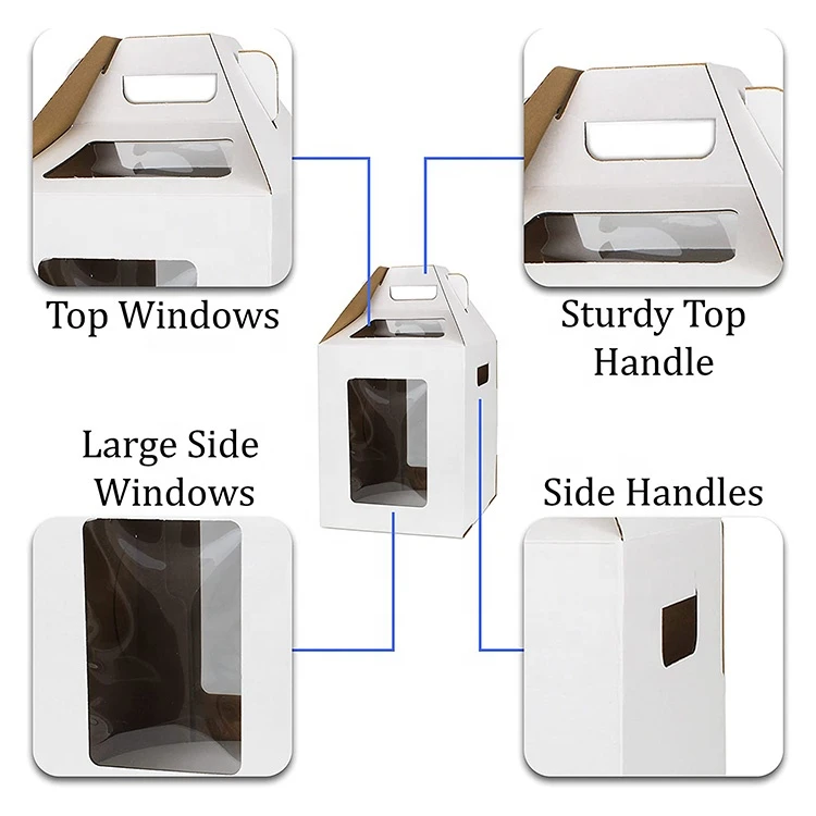 product-750-750